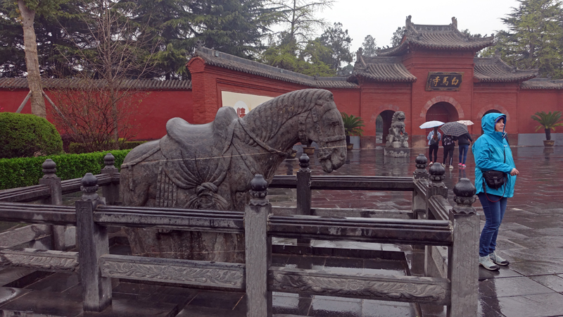 2017-03-30_135612 china-2017.jpg - Luoyang - Tempel des weien Pferdes
